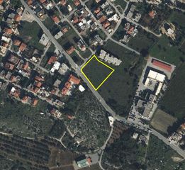 Οικόπεδο 3.880 τ.μ. προς πώληση, Δοκός Χαλκίδας-thumb-2