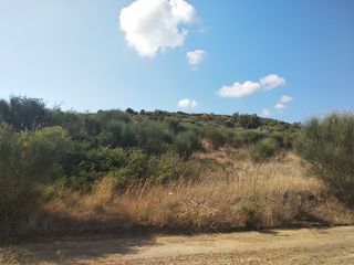 Οικόπεδο 9.000 τ.μ. για πώληση, Εύβοια, Στύρα-thumb-6