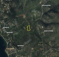 Οικόπεδο 9.000 τ.μ. για πώληση, Εύβοια, Στύρα-thumb-3
