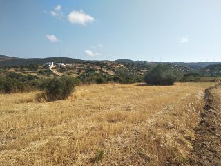 Οικόπεδο 9.000 τ.μ. για πώληση, Εύβοια, Στύρα-thumb-7
