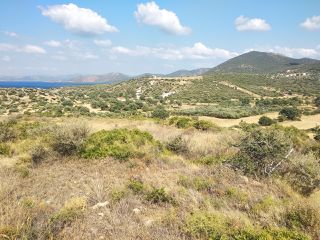 Οικόπεδο 9.000 τ.μ. για πώληση, Εύβοια, Στύρα-thumb-5