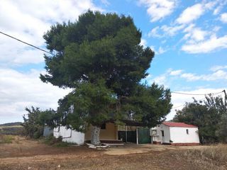 Φάρμα / ράντσο 67 τ.μ. για πώληση, Εύβοια, Δύστος-thumb-2