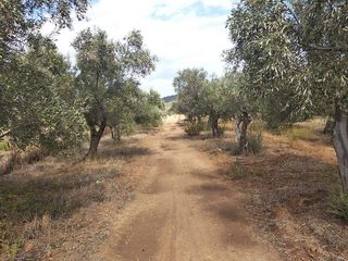 Φάρμα / ράντσο 67 τ.μ. για πώληση, Εύβοια, Δύστος-thumb-7