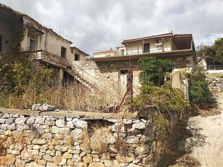Μονοκατοικία 350 τ.μ. προς πώληση, Αργυρό-thumb-18