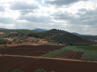 Φάρμα / ράντσο 200 τ.μ. προς πώληση, Ψαχνά-thumb-17