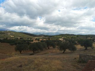 Φάρμα / ράντσο 200 τ.μ. προς πώληση, Ψαχνά-thumb-18