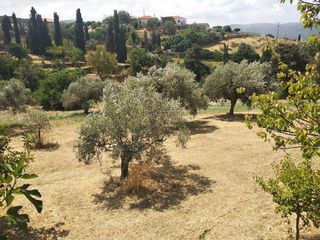 Μονοκατοικία 67 τ.μ. για πώληση, Εύβοια, Δύστος-thumb-4