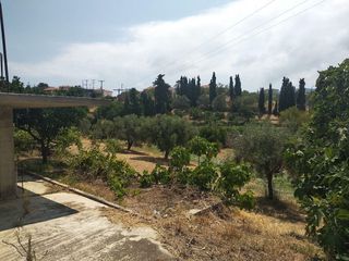 Μονοκατοικία 67 τ.μ. για πώληση, Εύβοια, Δύστος-thumb-8