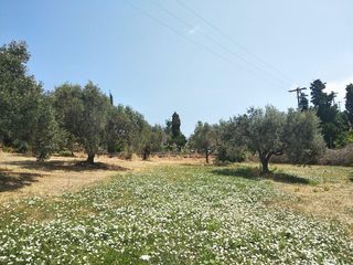 Μονοκατοικία 67 τ.μ. για πώληση, Εύβοια, Δύστος-thumb-13