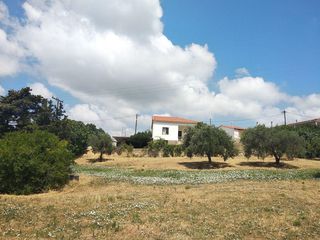 Μονοκατοικία 67 τ.μ. για πώληση, Εύβοια, Δύστος-thumb-12