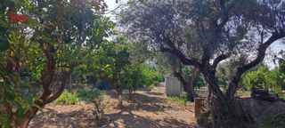 Μονοκατοικία 50 τ.μ. για πώληση, Αχαΐα, Αιγιάλεια-thumb-20