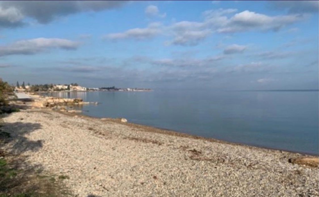 Οικόπεδο 5.417 τ.μ. προς πώληση, Κοκκώνι