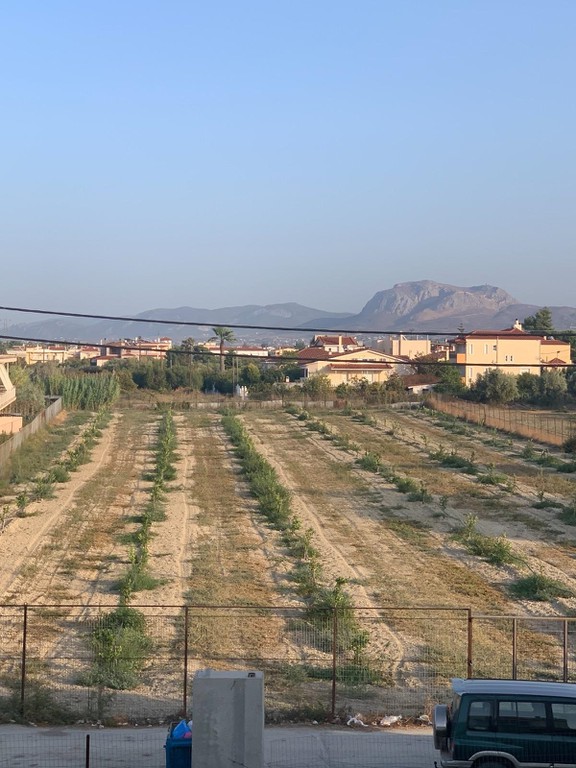 Οικόπεδο 5.417 τ.μ. προς πώληση, Κοκκώνι