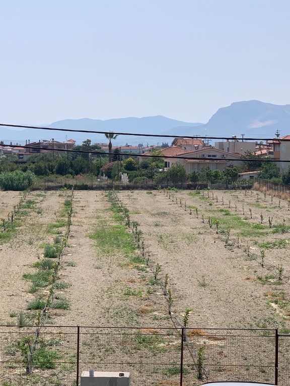 Οικόπεδο 5.417 τ.μ. προς πώληση, Κοκκώνι