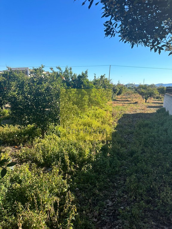 Οικόπεδο 1.600 τ.μ. προς πώληση, Κοκκώνι