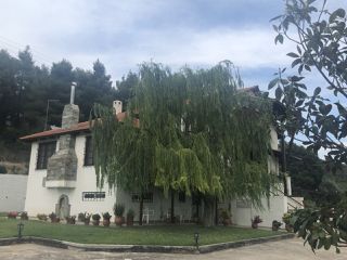 Μονοκατοικία 317 τ.μ. για πώληση, Εύβοια, Δίρφυς-thumb-5