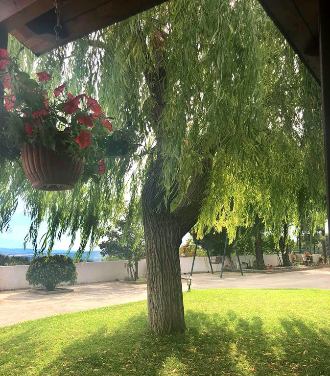 Detached home 317 sqm for sale, Agios Athanasios, Dirfis