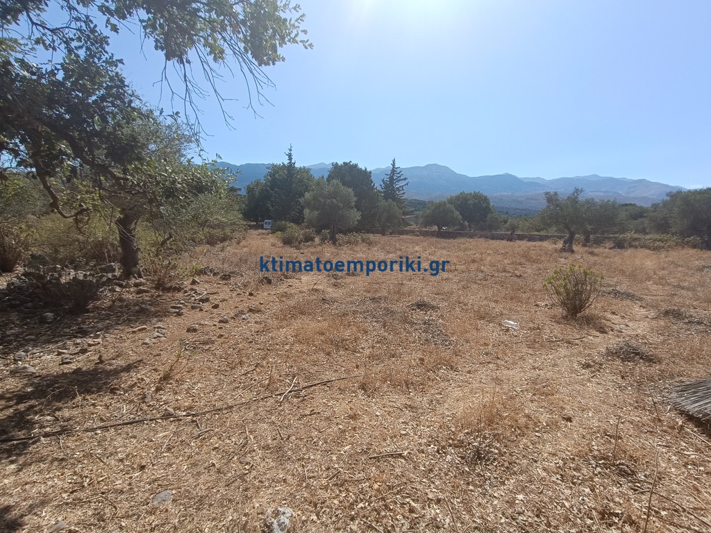 Οικόπεδο 4.200 τ.μ. προς πώληση, Βρύσες Κρυονερίδας