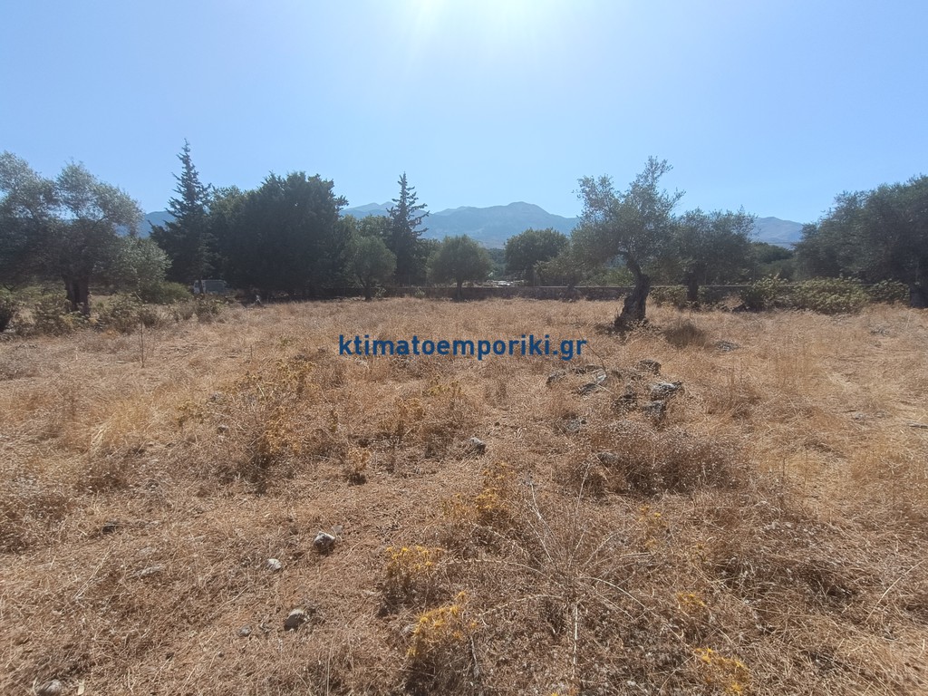 Οικόπεδο 4.200 τ.μ. προς πώληση, Βρύσες Κρυονερίδας