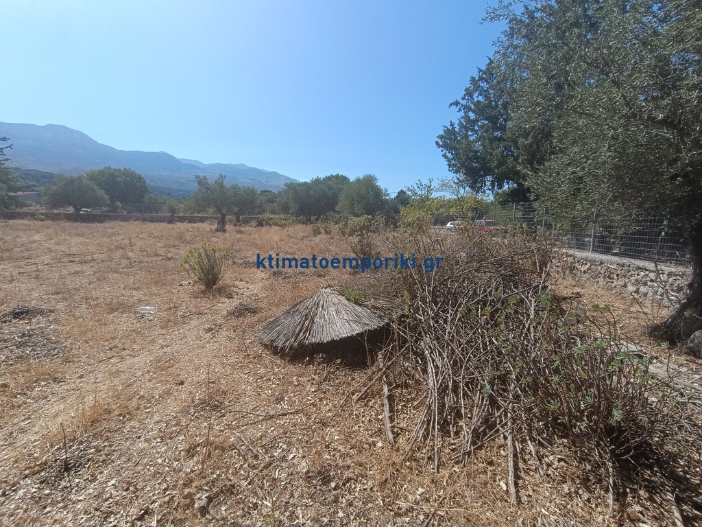 Οικόπεδο 4.200 τ.μ. προς πώληση, Βρύσες Κρυονερίδας