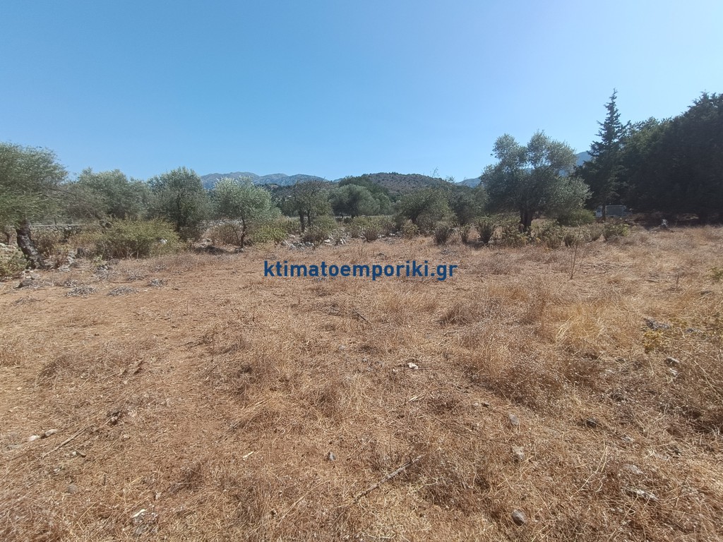 Οικόπεδο 4.200 τ.μ. προς πώληση, Βρύσες Κρυονερίδας