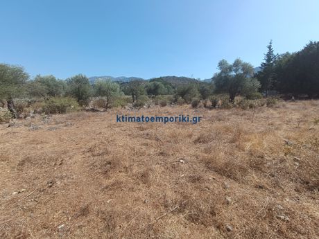 Οικόπεδο 4.200τ.μ. για πώληση-Κρυονερίδα