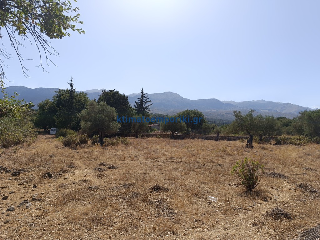 Οικόπεδο 4.200 τ.μ. προς πώληση, Βρύσες Κρυονερίδας