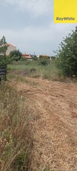 Οικόπεδο 500 τ.μ. προς πώληση