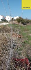 Οικόπεδο 2.136 τ.μ. για πώληση, Κορινθία, Βέλο-thumb-16