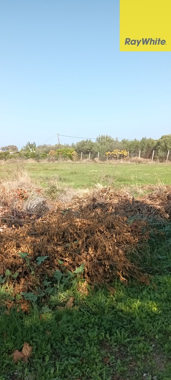 Οικόπεδο 2.136 τ.μ. προς πώληση, Νεράντζα