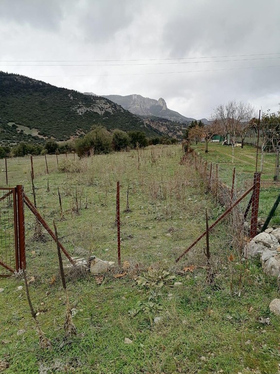 Αγροτεμάχια 9.000 τ.μ. προς πώληση, Λούζι