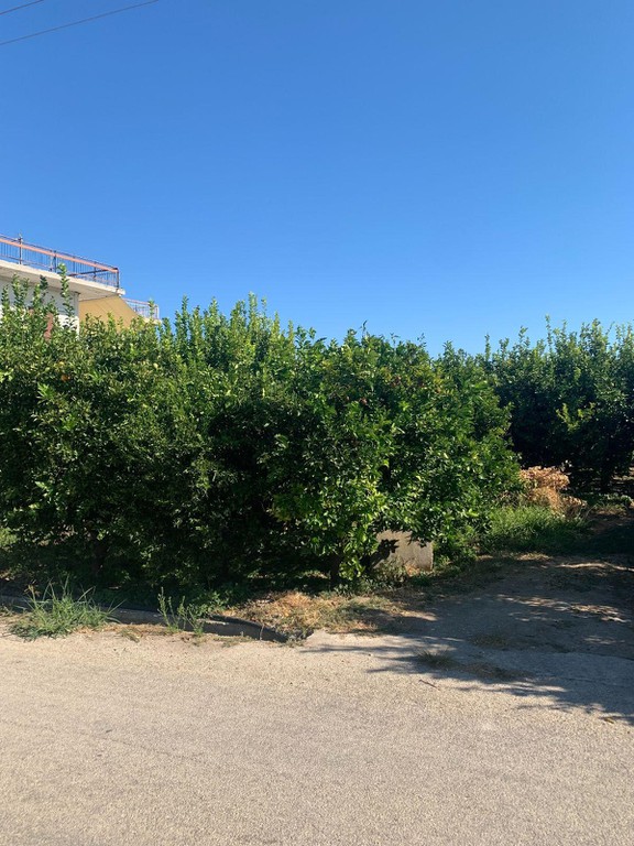 Οικόπεδο 2.250 τ.μ. προς πώληση, Κέντρο Βέλου
