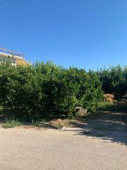 Οικόπεδο 2.250 τ.μ. για πώληση