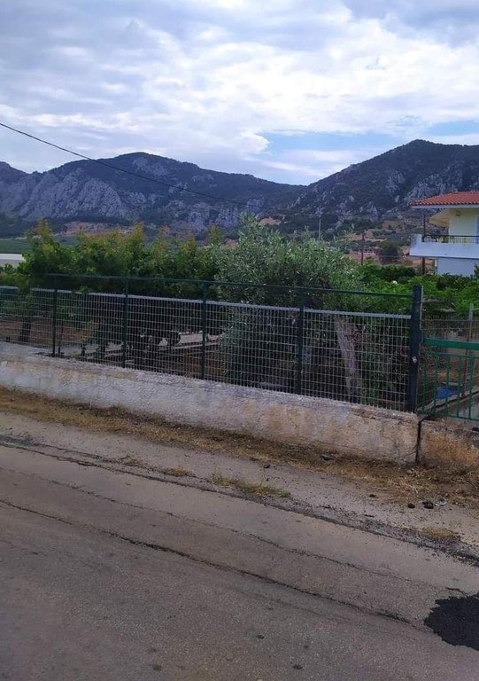 Αγροτεμάχια 5.000 τ.μ. προς πώληση, Ξυλοκέριζα