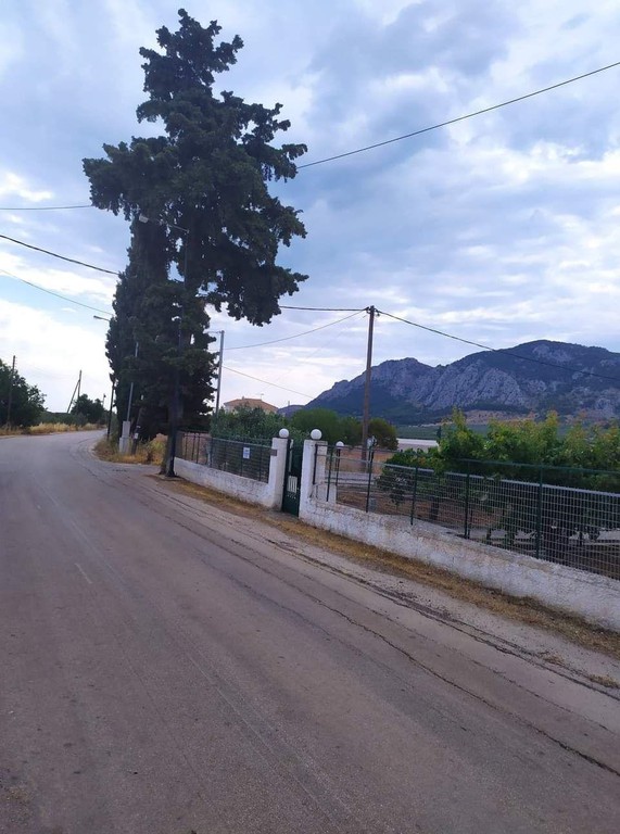 Αγροτεμάχια 5.000 τ.μ. προς πώληση, Ξυλοκέριζα