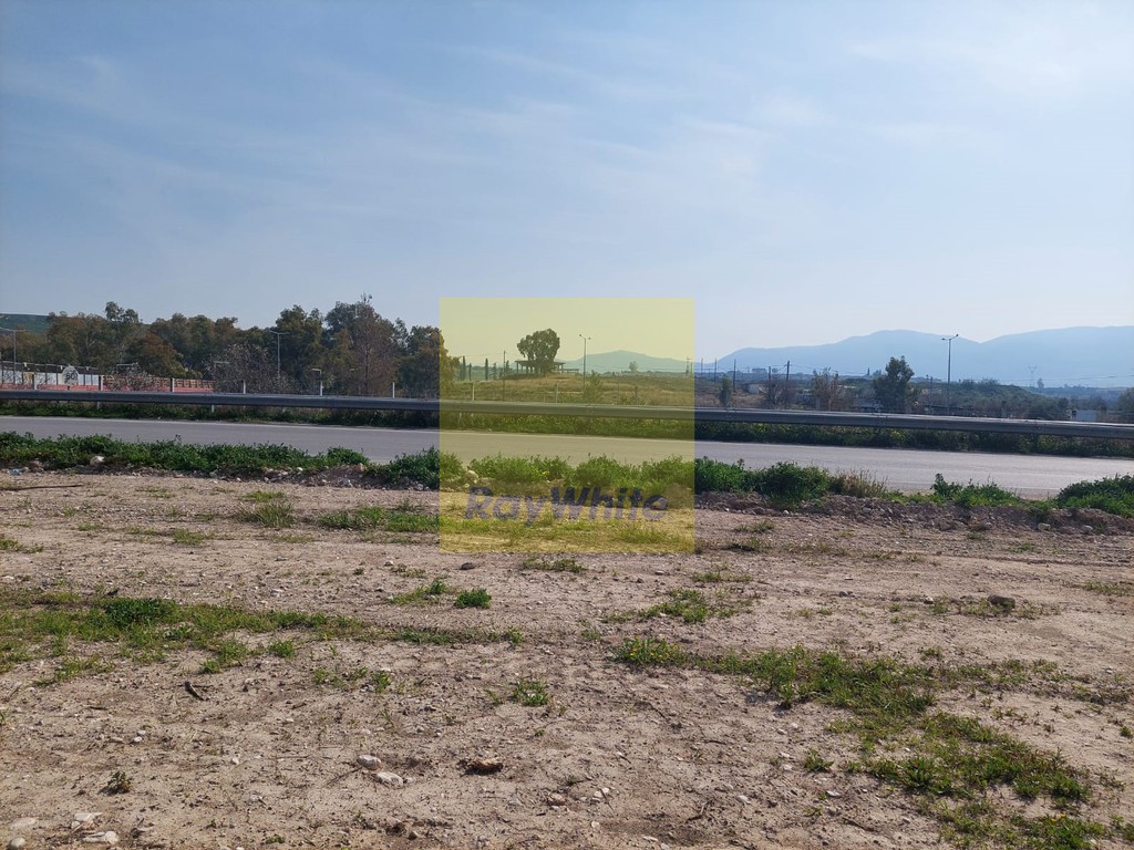Αγροτεμάχια 7.500 τ.μ. προς πώληση, Κόρινθος