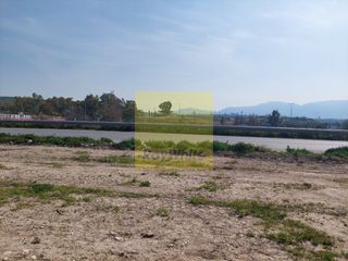 Αγροτεμάχια 7.500 τ.μ. για πώληση
