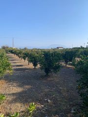 Οικόπεδο 3.202 τ.μ. για πώληση