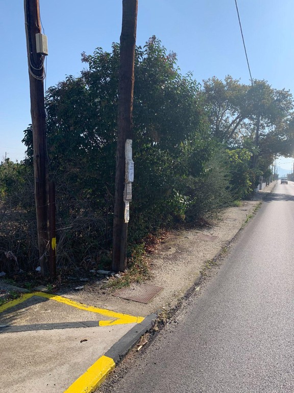 Οικόπεδο 3.202 τ.μ. προς πώληση, Κοκκώνι