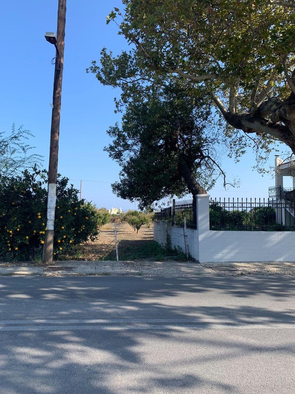 Οικόπεδο 3.202 τ.μ. προς πώληση, Κοκκώνι