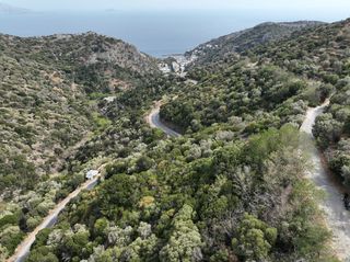 Αγροτεμάχια 4.740,20 τ.μ. για πώληση, Ν. Σάμου, Ικαρία-thumb-15