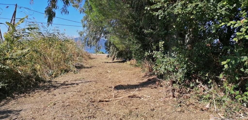 Οικόπεδο 4.968,50 τ.μ. προς πώληση, Κέντρο Ωρεών