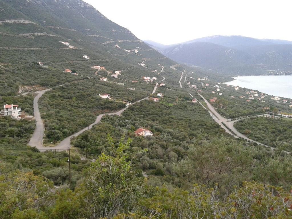 Οικόπεδο 1.067 τ.μ. προς πώληση, Σκροπονέρια Ανθηδώνος
