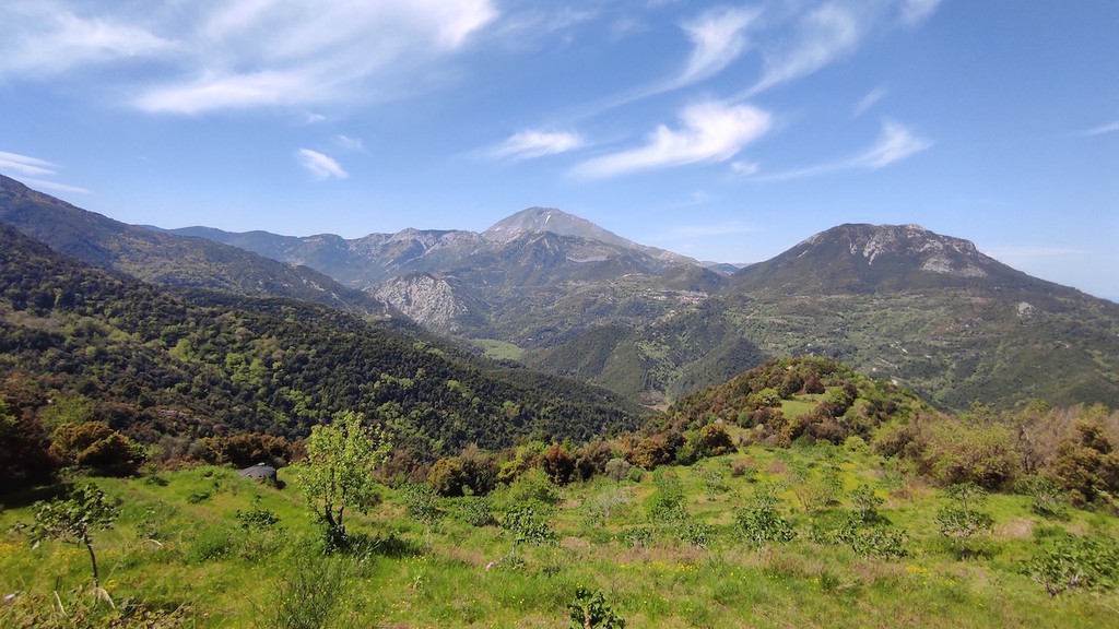 Οικόπεδο 20.000 τ.μ. προς πώληση, Κούτουρλα