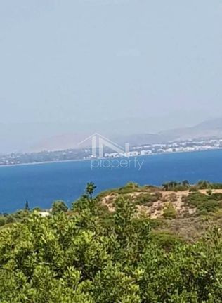 Μονοκατοικία 58 τ.μ. για πώληση, Αττική - Υπόλοιπο, Κ. Σκάλας Ωρωπού