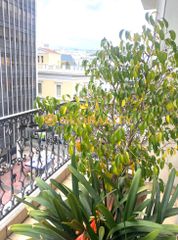 Apartment 135 sqm for sale