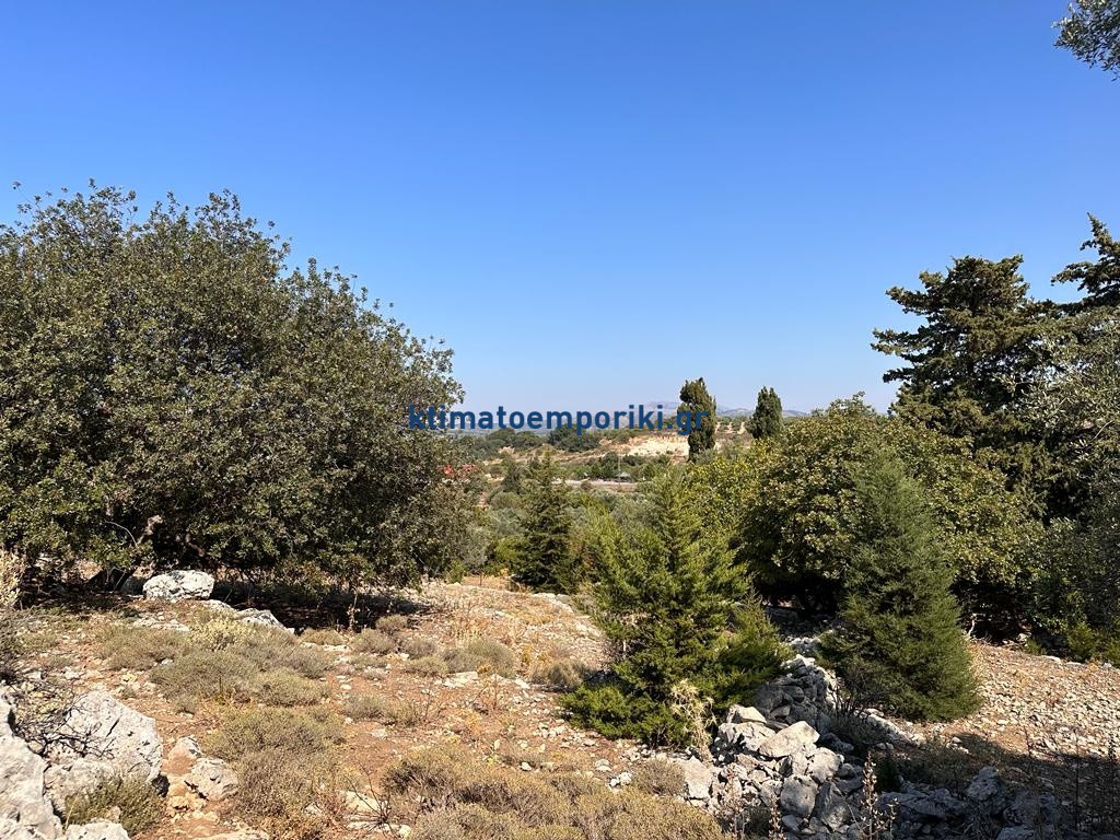 Οικόπεδο 5.427 τ.μ. πρός πώληση, Ν. Ρεθύμνου, Λάππα