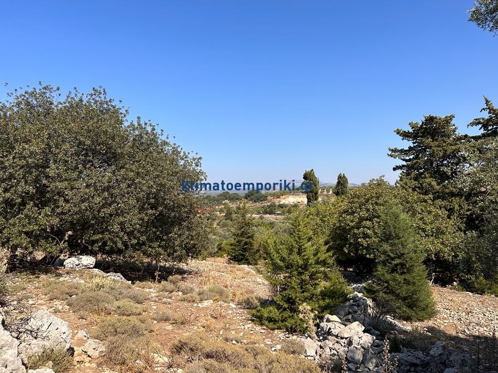 Οικόπεδο 5.427 τ.μ. πρός πώληση, Ν. Ρεθύμνου, Λάππα