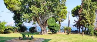 Διαμέρισμα 70 τ.μ. για ενοικίαση, Αχαΐα, Ρίο-thumb-12