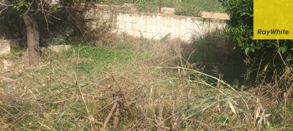 Οικόπεδο 2.010 τ.μ. προς πώληση, Σικυώνα